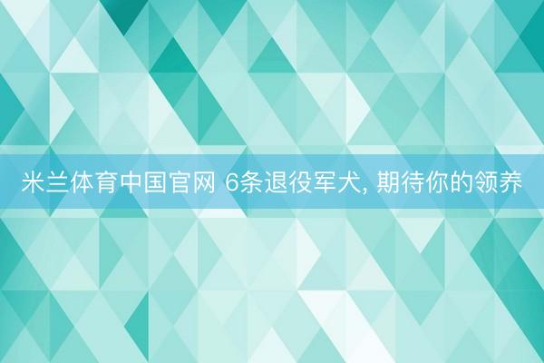 米兰体育中国官网 6条退役军犬， 期待你的领养
