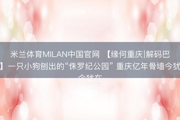 米兰体育MILAN中国官网 【缘何重庆∣解码巴渝】一只小狗刨出的“侏罗纪公园” 重庆亿年骨墙今犹在