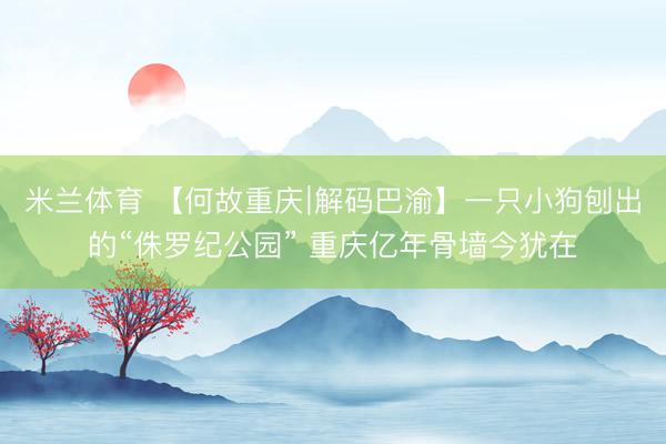 米兰体育 【何故重庆∣解码巴渝】一只小狗刨出的“侏罗纪公园” 重庆亿年骨墙今犹在