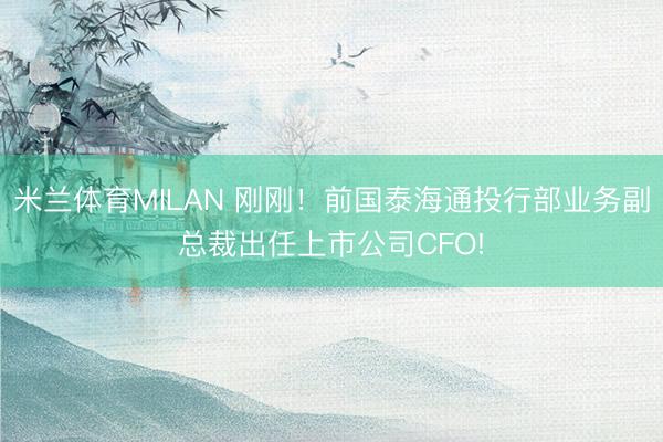 米兰体育MILAN 刚刚!前国泰海通投行部业务副总裁出任上市公司CFO!